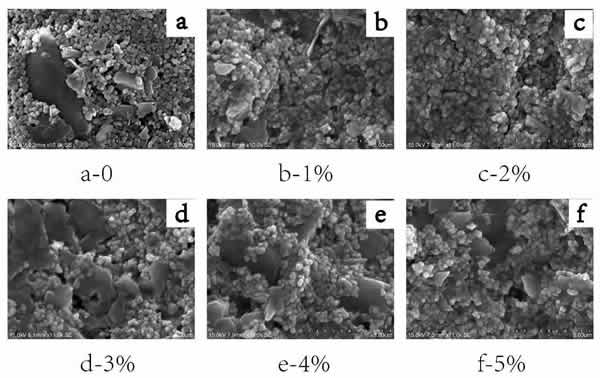 圖8_不同質(zhì)量分?jǐn)?shù)PMS的無機(jī)涂層的SEM圖